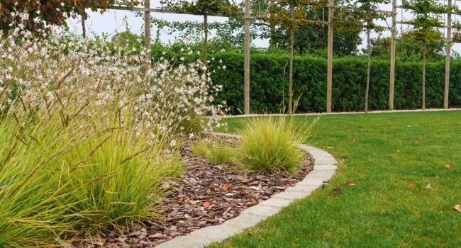 Natuurlijke tuin: levendig en divers