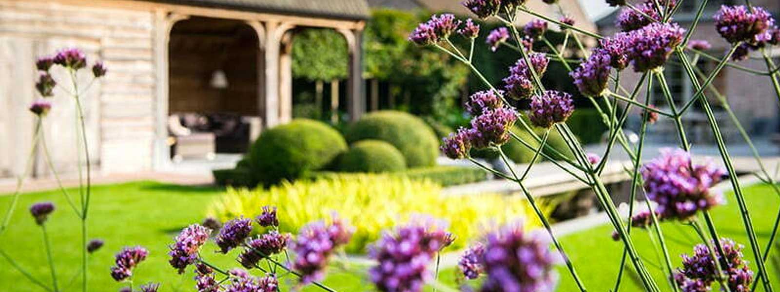 Wilde tuin aanleggen