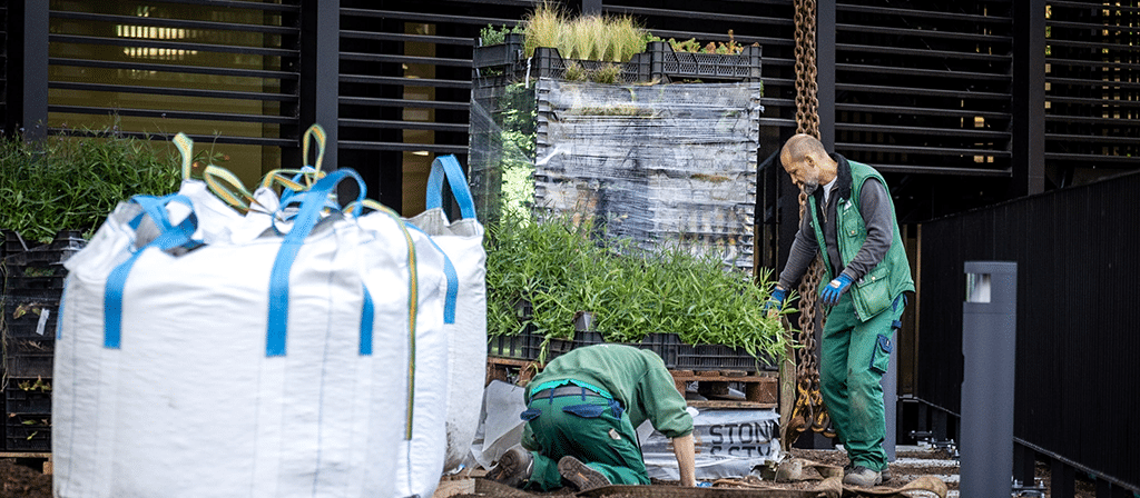 Daktuin Essers gert kwanten