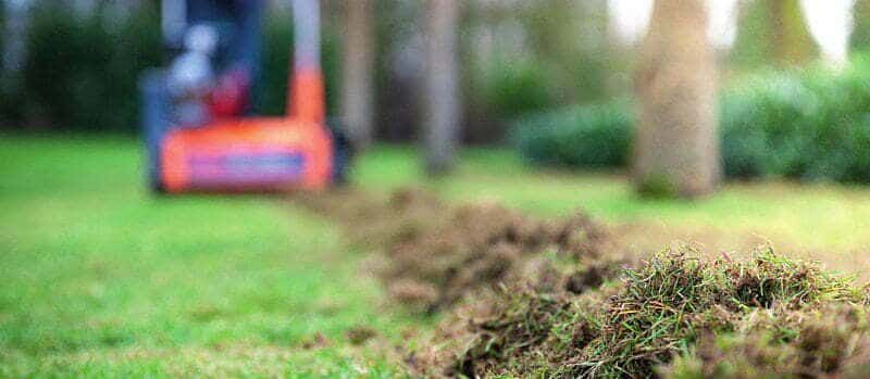 Voorjaarsonderhoud tuin