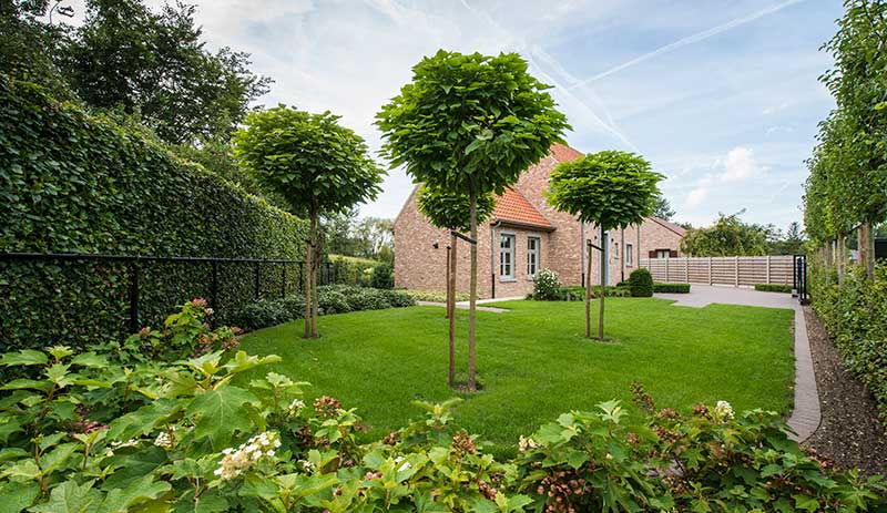 Landelijke tuin