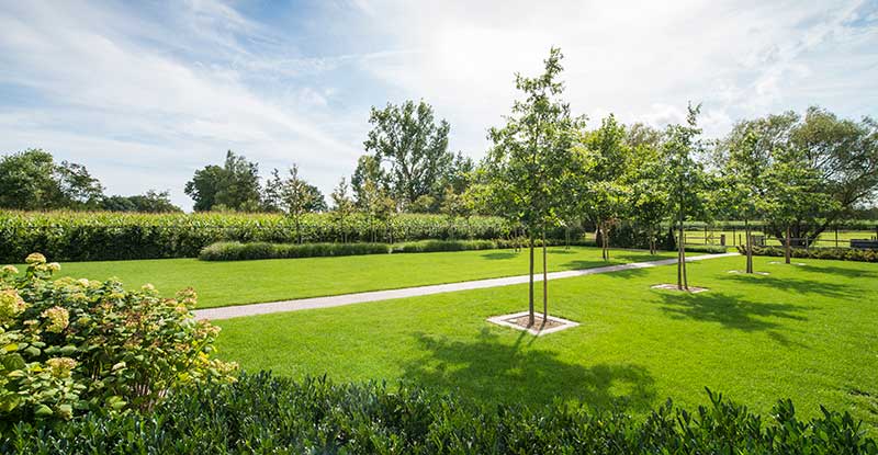 Strakke lijnen tuinaanleg