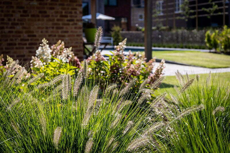 Tuinaanleg Gert Kwanten