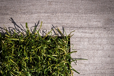 Waterdoorlatende verharding