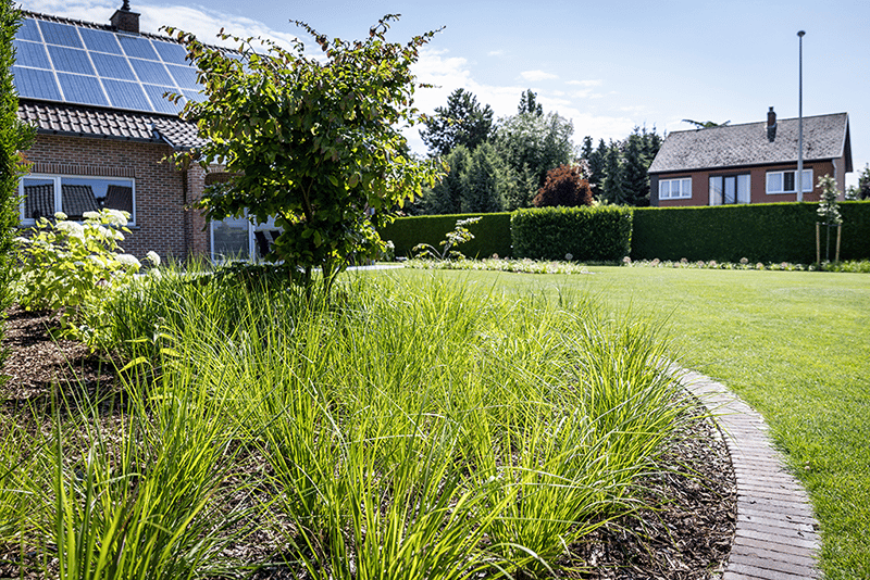 Hoe-maak-ik-een-tuin-klimaatvriendelijk