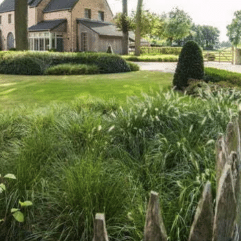 Grote tuin inrichten