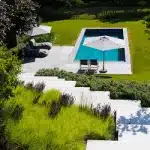 Alle soorten siergras op een rij